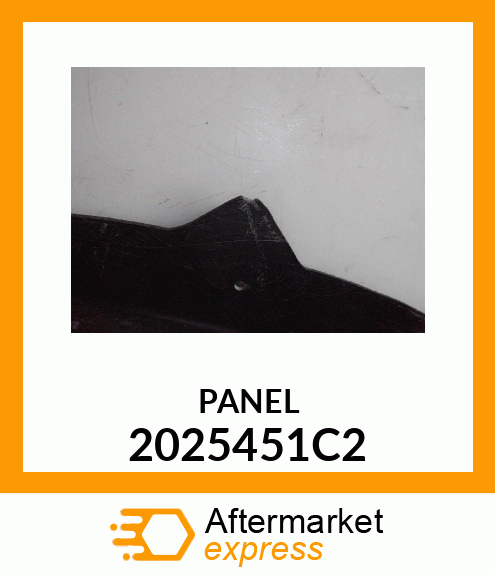 PANEL 2025451C2