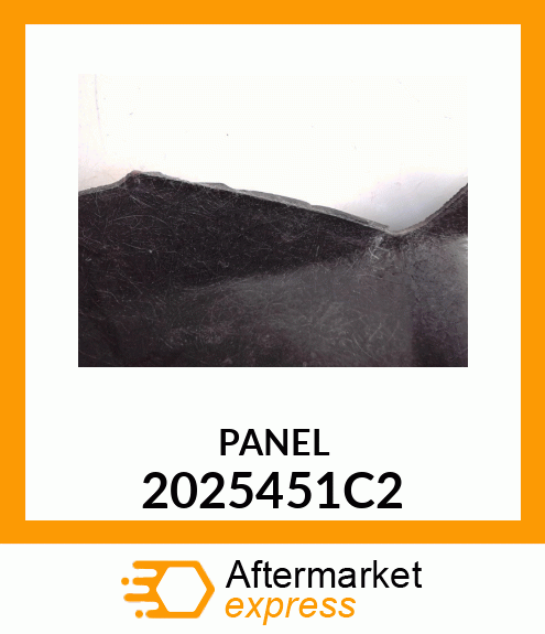 PANEL 2025451C2