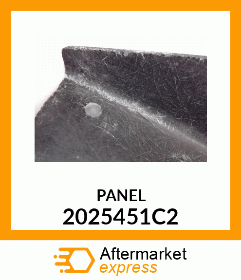 PANEL 2025451C2