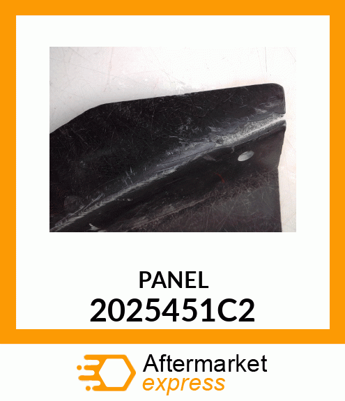 PANEL 2025451C2