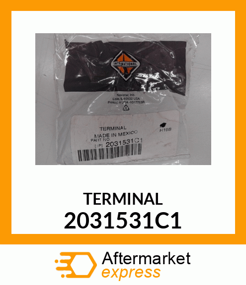 TERMINAL 2031531C1