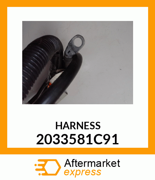 HARNESS 2033581C91