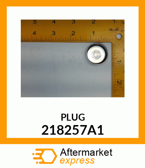 PLUG 218257A1