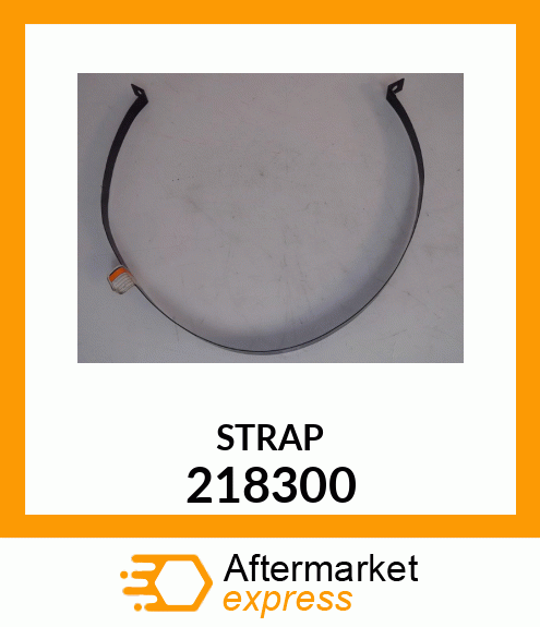 STRAP 218300