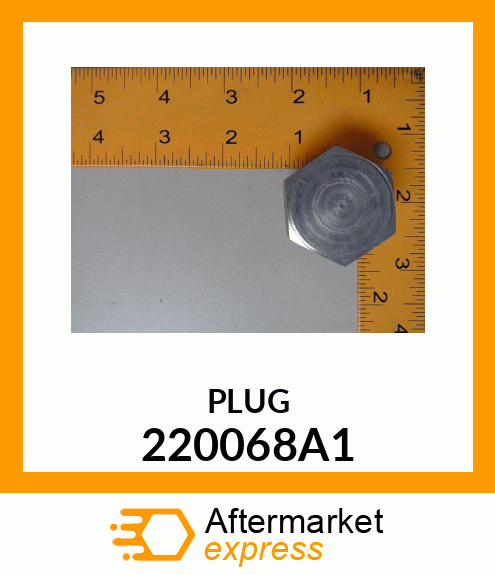 PLUG 220068A1