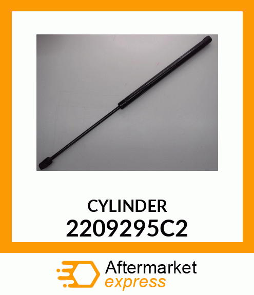 CYLINDER 2209295C2