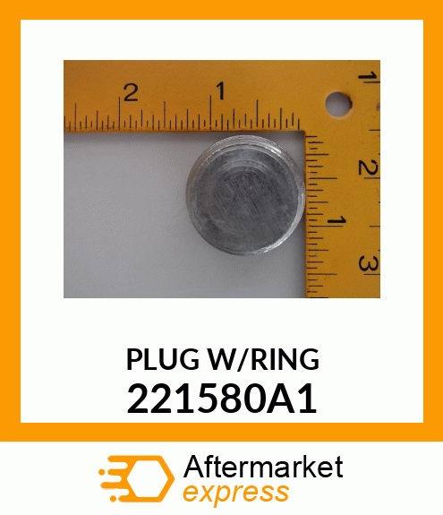 PLUG 221580A1