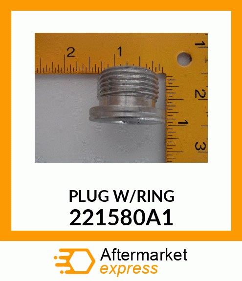 PLUG 221580A1