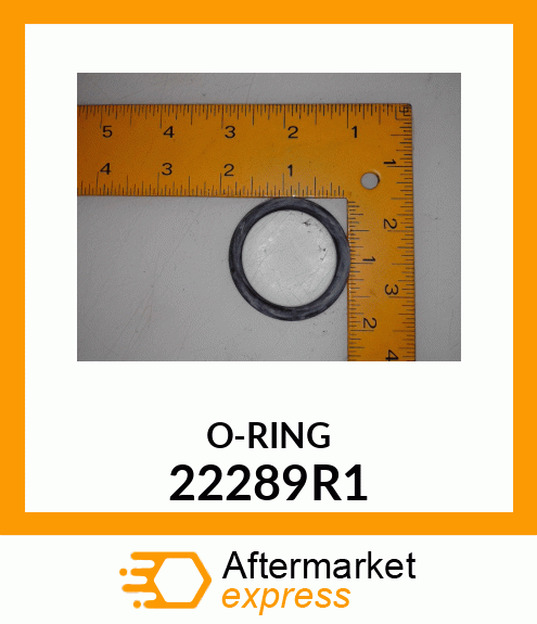 ORING 22289R1