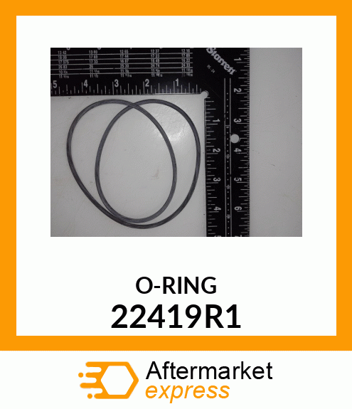 O-RING 22419R1