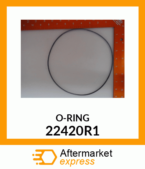 ORING 22420R1