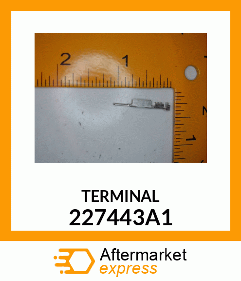 TERMINAL 227443A1