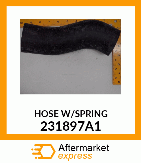 HOSE 231897A1