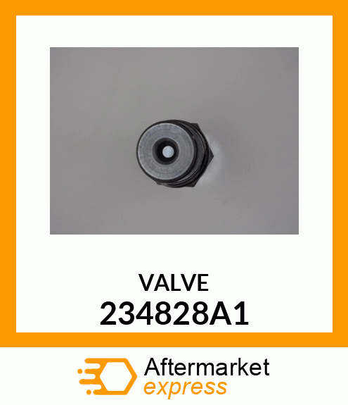 VALVE 234828A1