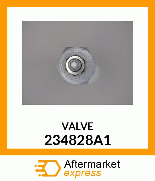 VALVE 234828A1