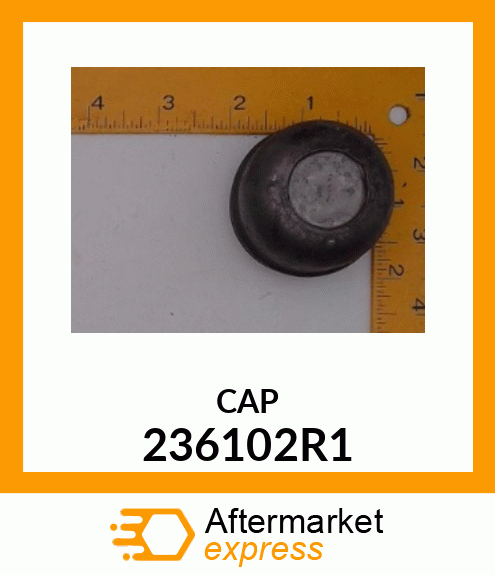 CAP 236102R1