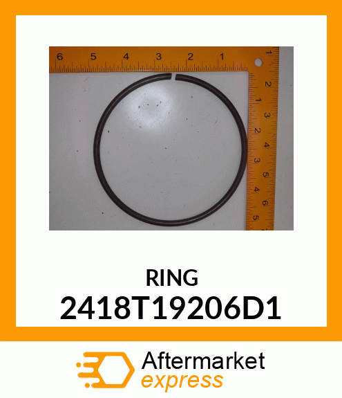 RING 2418T19206D1