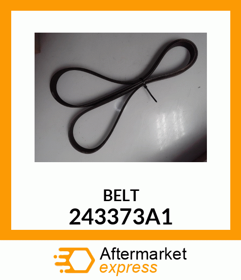 BELT 243373A1