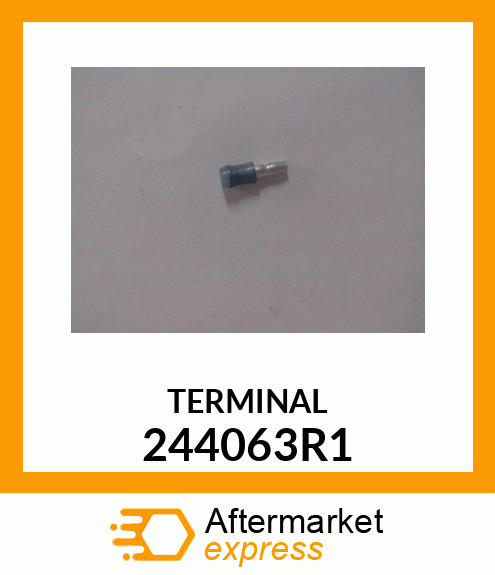 TERMINAL 244063R1