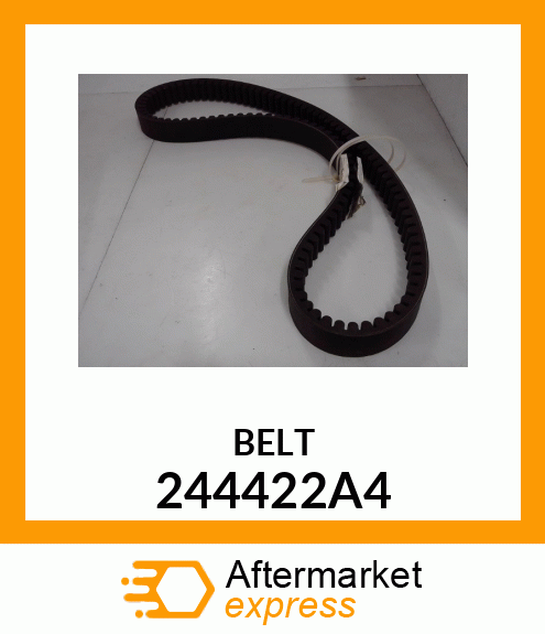 BELT 244422A4