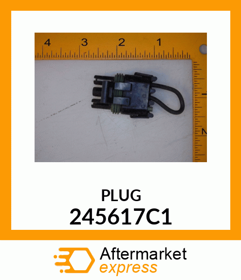 PLUG 245617C1