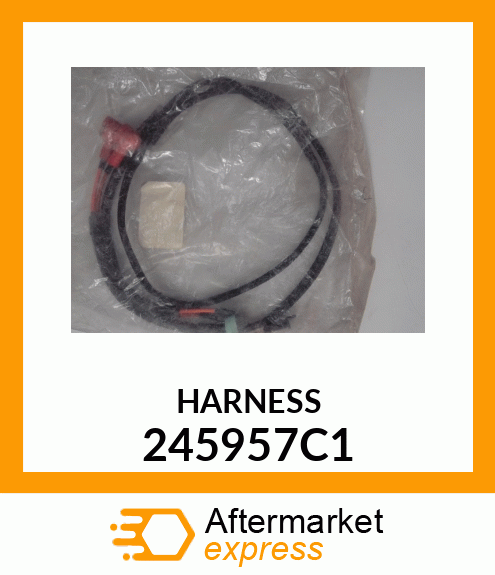 HARNESS 245957C1