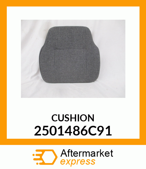 CUSHION 2501486C91