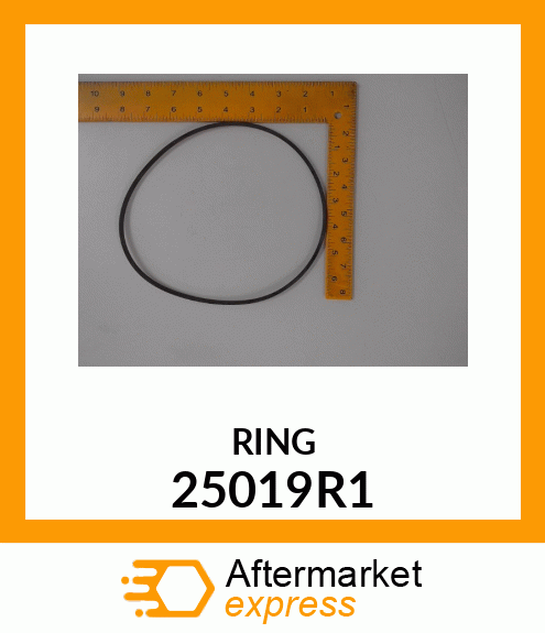 RING 25019R1