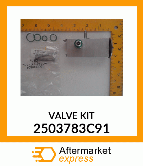 VALVEKIT8PC 2503783C91