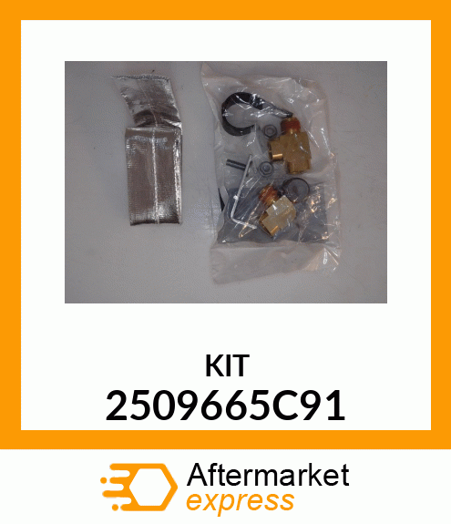 KIT 2509665C91