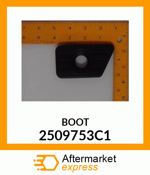 BOOT 2509753C1