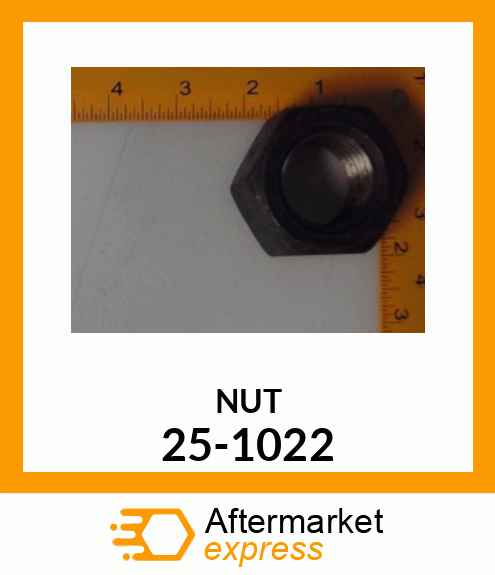 NUT 25-1022