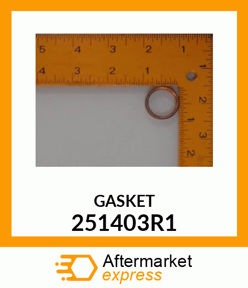 GASKET 251403R1