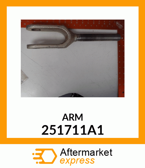 ARM 251711A1