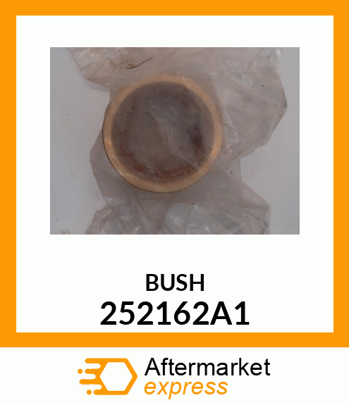 BUSH 252162A1