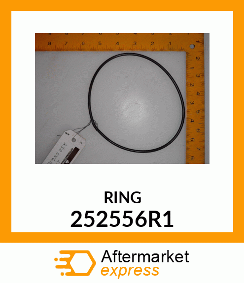 RING 252556R1