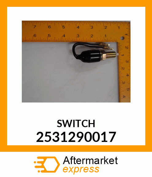 SWITCH 2531290017