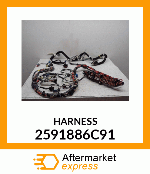 HARNESS 2591886C91