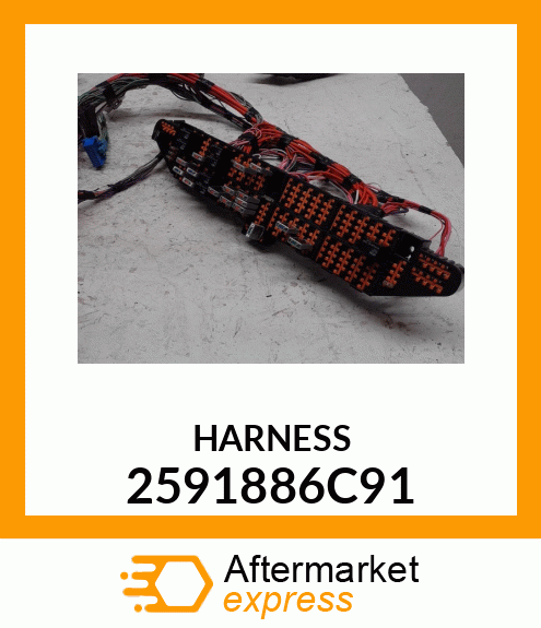 HARNESS 2591886C91