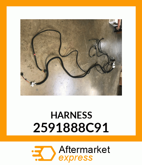 HARNESS 2591888C91