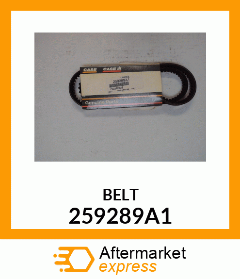 BELT 259289A1