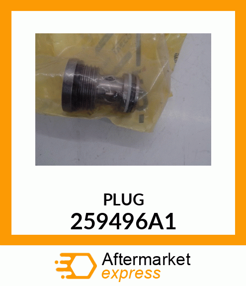 PLUG 259496A1