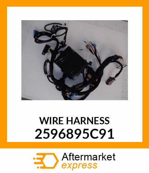 WIREHARNESS 2596895C91