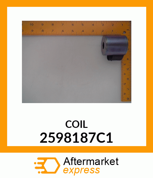 COIL 2598187C1