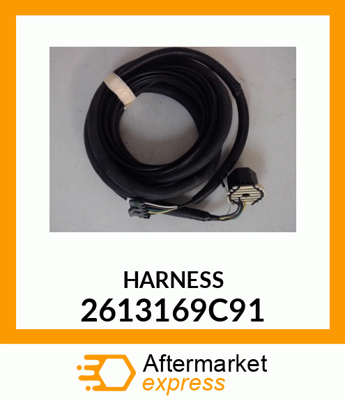 HARNESS 2613169C91