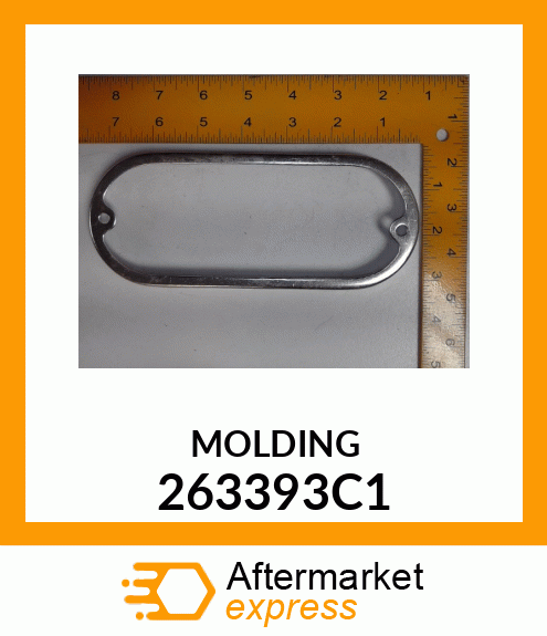 MOLDING 263393C1