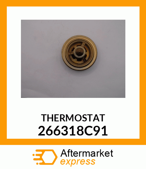 THERMST 266318C91