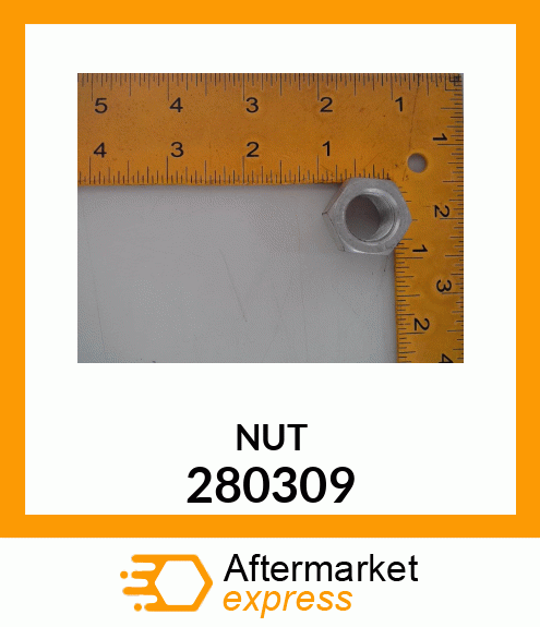 NUT 280309