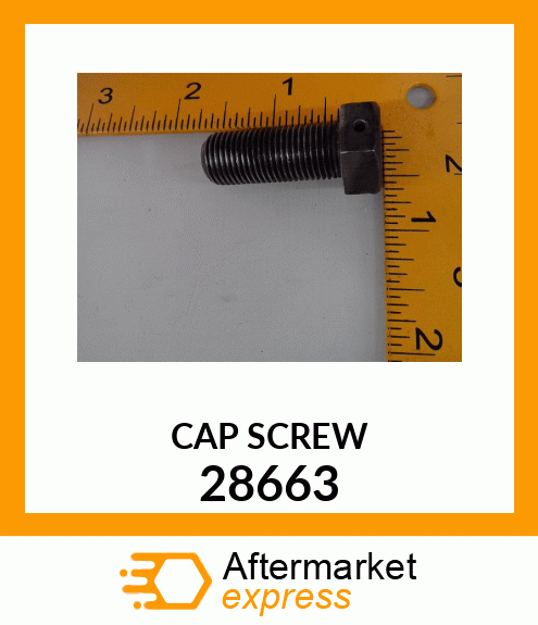 CAPSCREW 28663