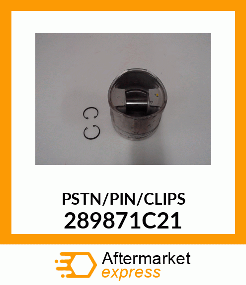 PSTN/PIN/CLIPS 289871C21